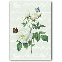 Happy Mother's Day with Rosa Indica - 5" x 7" Vellum Overlay Mother's Day Greeting Card