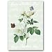 Happy Mother's Day with Rosa Indica - 5" x 7" Vellum Overlay Mother's Day Greeting Card