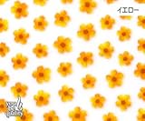 ネイルシール bibideco bi-53 ドライフラワー(Y)