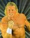 SYCHO SID (SID VICIOUS) - AUTOGRAPHED COLOR 8 x 10 WWE WRESTLING PHOTO