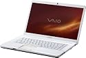 Sony Vaio VGN-NW21MF/W.G4 15.5 Zoll Notebook (Intel Core 2 Duo T6600 2,2GHz, 4GB RAM, 500GB HDD, ATI HD 4570, DVD, Win 7 HP)