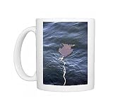 Seal Decoy - Neoprene seal used to fool great white sharks into attacking it Photo Mugs