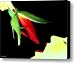 Luscious Canvas Print / Canvas Art - Artist Torie Tiffany