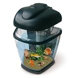 Fishtec Mini Aquarium