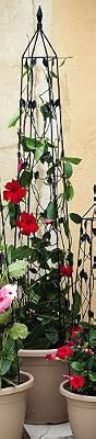 Black Leaves Trellis - Large