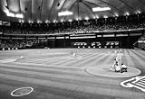 Professionally Framed Minnesota Metrodome Archival Photo Sports Poster - 13x19 with RichAndFramous Black Wood Frame