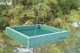 Go Green Platform Feeder