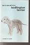 How to Raise and Train a Bedlington Terrier