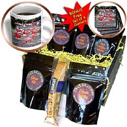 Birds - Flamingos - Coffee Gift Baskets - Coffee Gift Basket by Decaf Espresso Roast