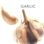 Garlic (Little Kitchen Library)