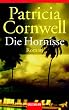 Die Hornisse: Roman (Andy Brazil)