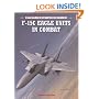 F-15C Eagle Units in Combat