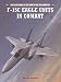 Book F-15C Eagle Units in Combat