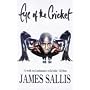 Eye of the Cricket (A Lew Griffin novel)