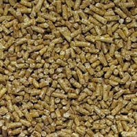 Lafeber's Premium Daily Diet Bird Food for Parakeets by Lafeber's