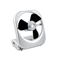 Desk Top Safe Fan
