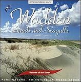 Sounds of Earth: Wadden - Sands & Seagulls
