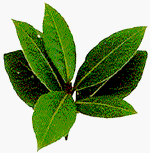 One pound Ground Bay Leaves