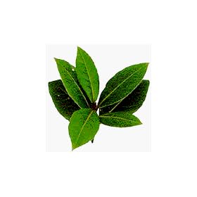 One pound Whole Bay Leaves