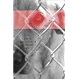 Bridging the Bond: The Cultural Construction of the Shelter Pet