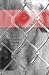 Bridging the Bond: The Cultural Construction of the Shelter Pet