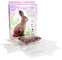 Wilton Easter Bunny Candy Kit