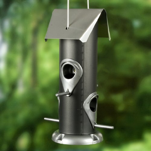 Colorful Surround Mixed bird - Black