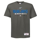 Turner MLB Toronto Blue Jays Nondated Combo Pack (8140310)