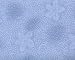 RJR4809-2 Robert's Floral Garden, Light Blue Flower Print on Light Blue By RJR Fabrics