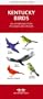 Kentucky Birds: An Introduction to Familiar Species (Pocket Naturalist)