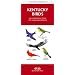 Kentucky Birds: An Introduction to Familiar Species (Pocket Naturalist)