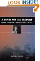 A Brain for All Seasons: Human Evolution and Abrupt Climate Change
