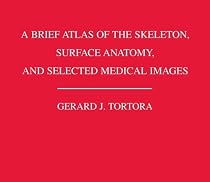 A Brief Atlas of the Skeleton Surface Anatomy, and Selected Medical Images