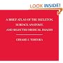 A Brief Atlas of the Skeleton Surface Anatomy, and Selected Medical Images
