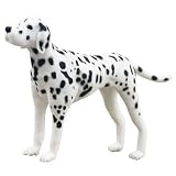 Medium Dalmatian Model