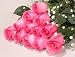 One Dozen Deep Pink Roses