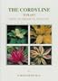 The Cordyline: King of Tropical Foliage