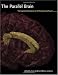The Parallel Brain: The Cognitive Neuroscience of the Corpus Callosum (Issues in Clinical and Cognitive Neuropsychology)