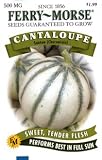 Ferry-Morse 2157 Cantaloupe Seeds, Santon (Charantais) (500 Milligram Packet)