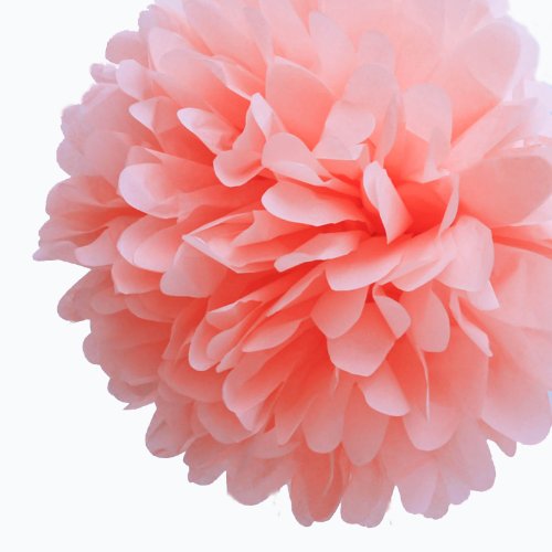 Dress My Cupcake 14