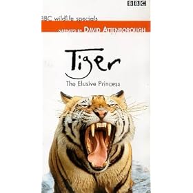BBC Wildlife Special - Tiger - The Elusive Princess