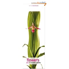 Flowers 2012: Premiumkalender Vertical