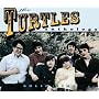 Solid Zinc: The Turtles Anthology