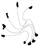 The Surreal Calder