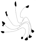 The Surreal Calder