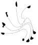 The Surreal Calder