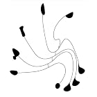The Surreal Calder by Mark Rosenthal and Francisco Calvo Serraller