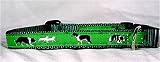 Designer Border Collie Dog Collar - Green Border Collie Collar - Medium-Plus - Made in USA