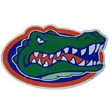 NCAA Florida Gators Car Magnet Oval (Large, 2 Pack)