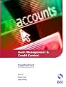 Cash Management and Credit Control (AAT/NVQ Accounting)